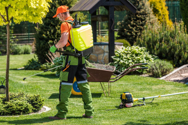 Best Fumigation Services  in Pima, AZ